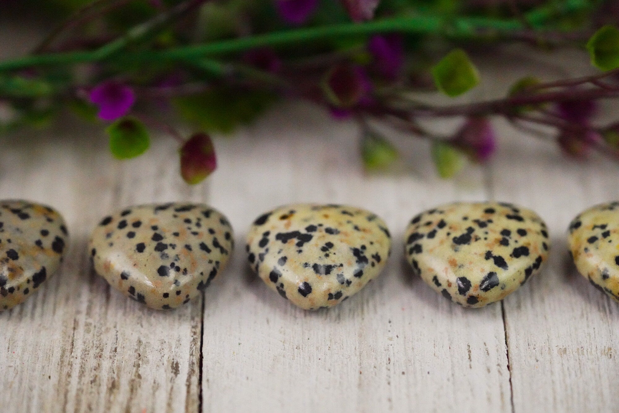 Dalmatian Jasper Crystal Heart