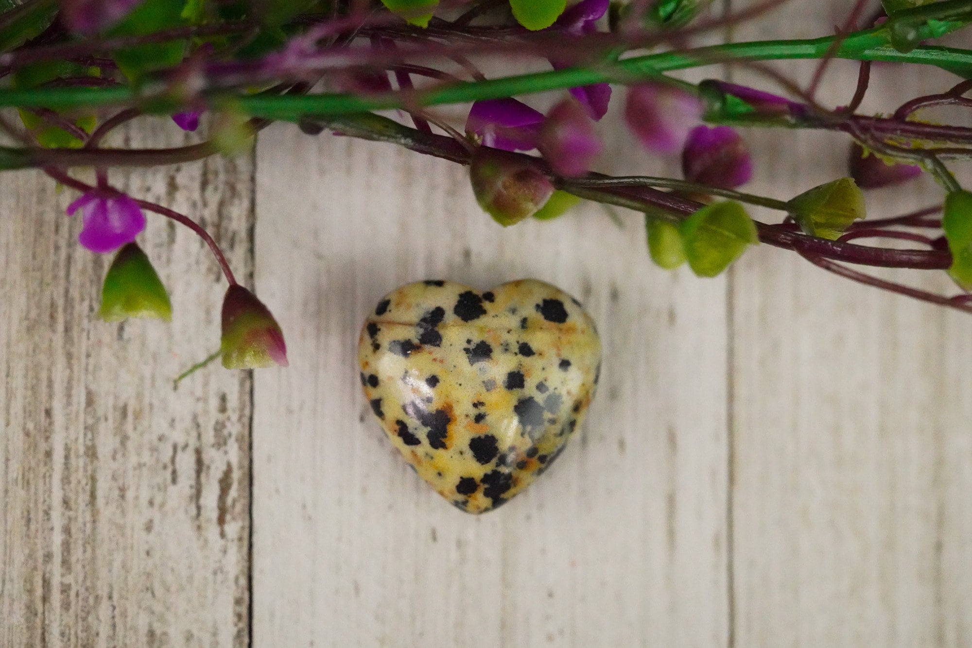 Dalmatian Jasper Crystal Heart