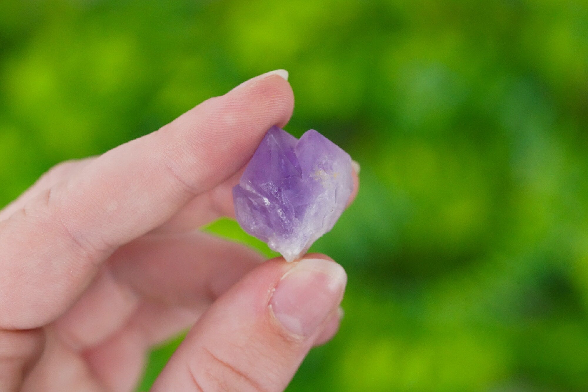 Raw Amethyst Crystal + Info Card