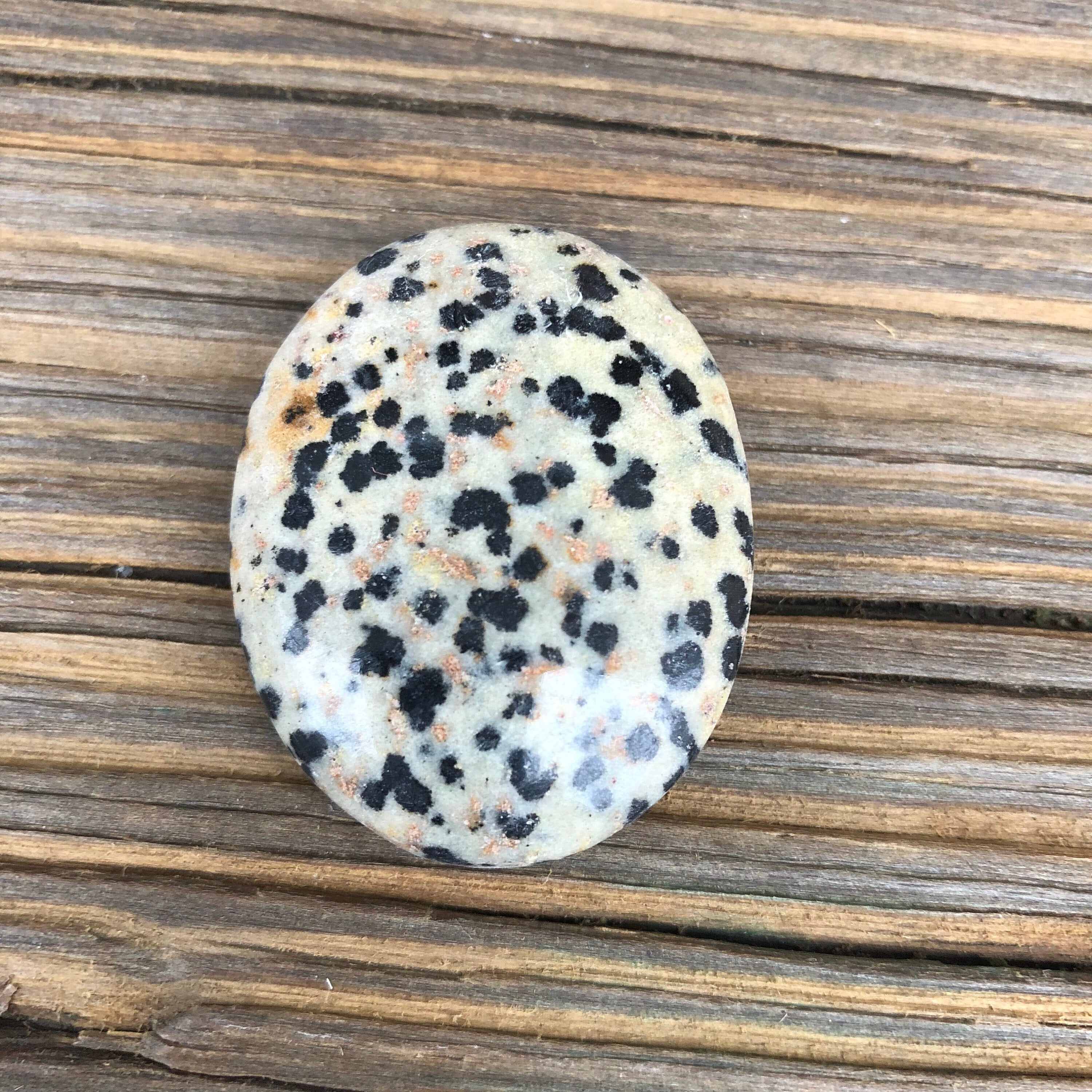 Dalmatian Jasper Worry Stone