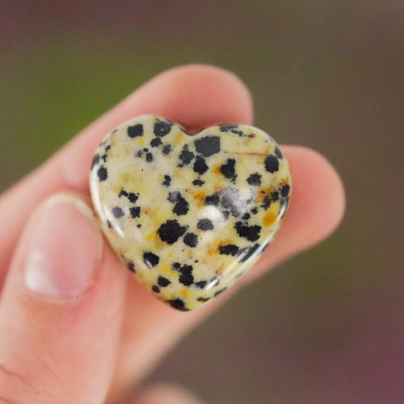 Dalmatian Jasper Crystal Heart