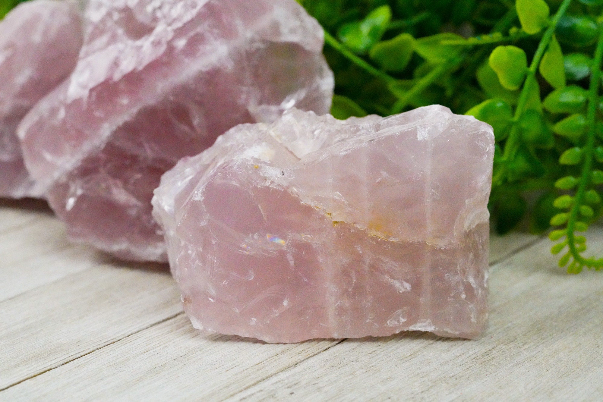 Jumbo Raw Rose Quartz Crystal