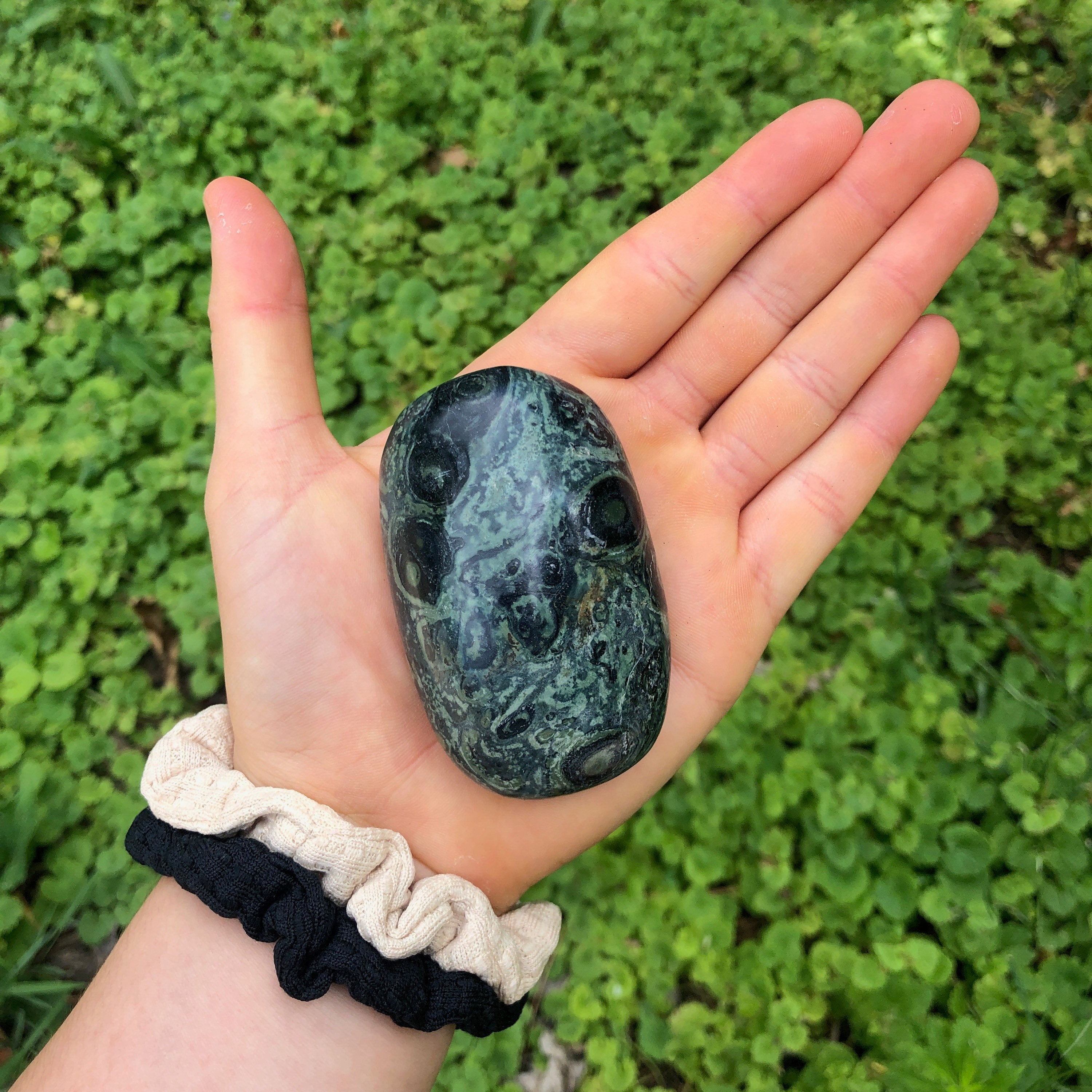 Kambaba Jasper Palm Stone