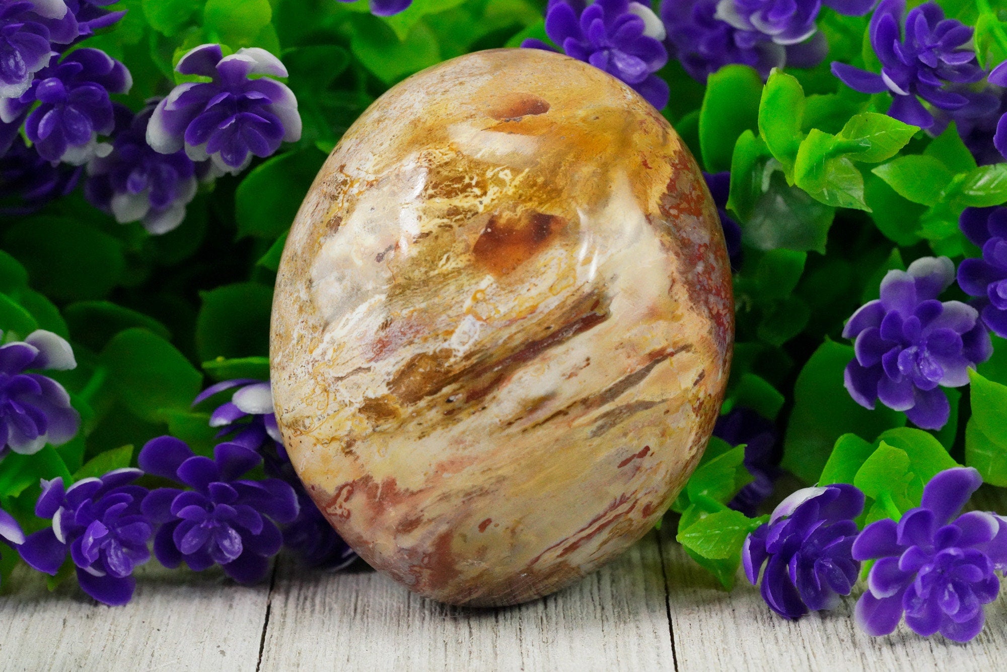 Petrified Wood Palm Stone