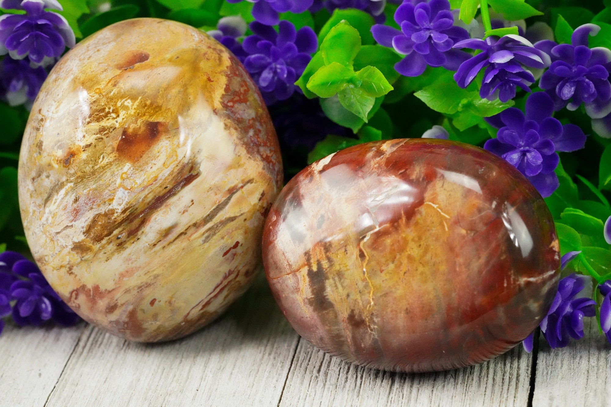 Petrified Wood Palm Stone