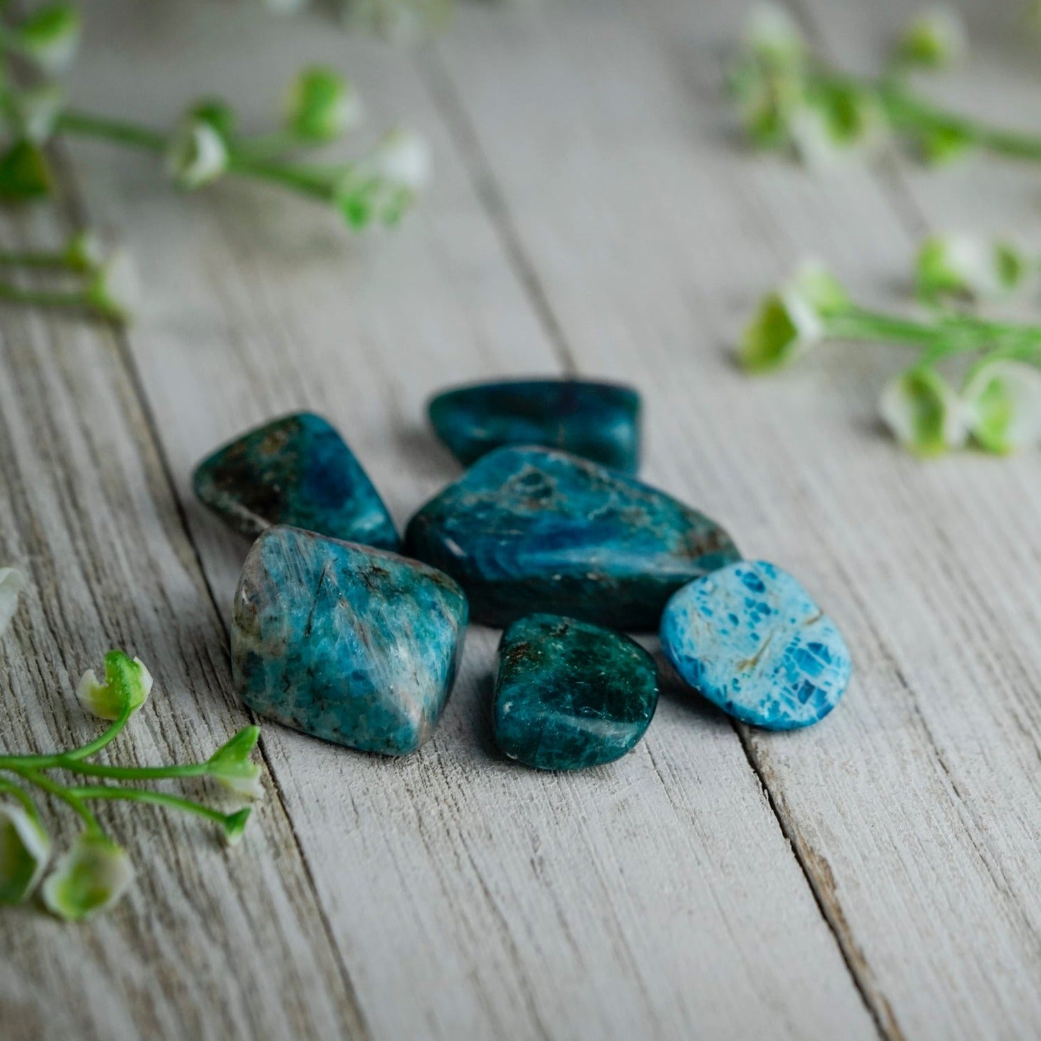 Tumbled Apatite Polished Stone