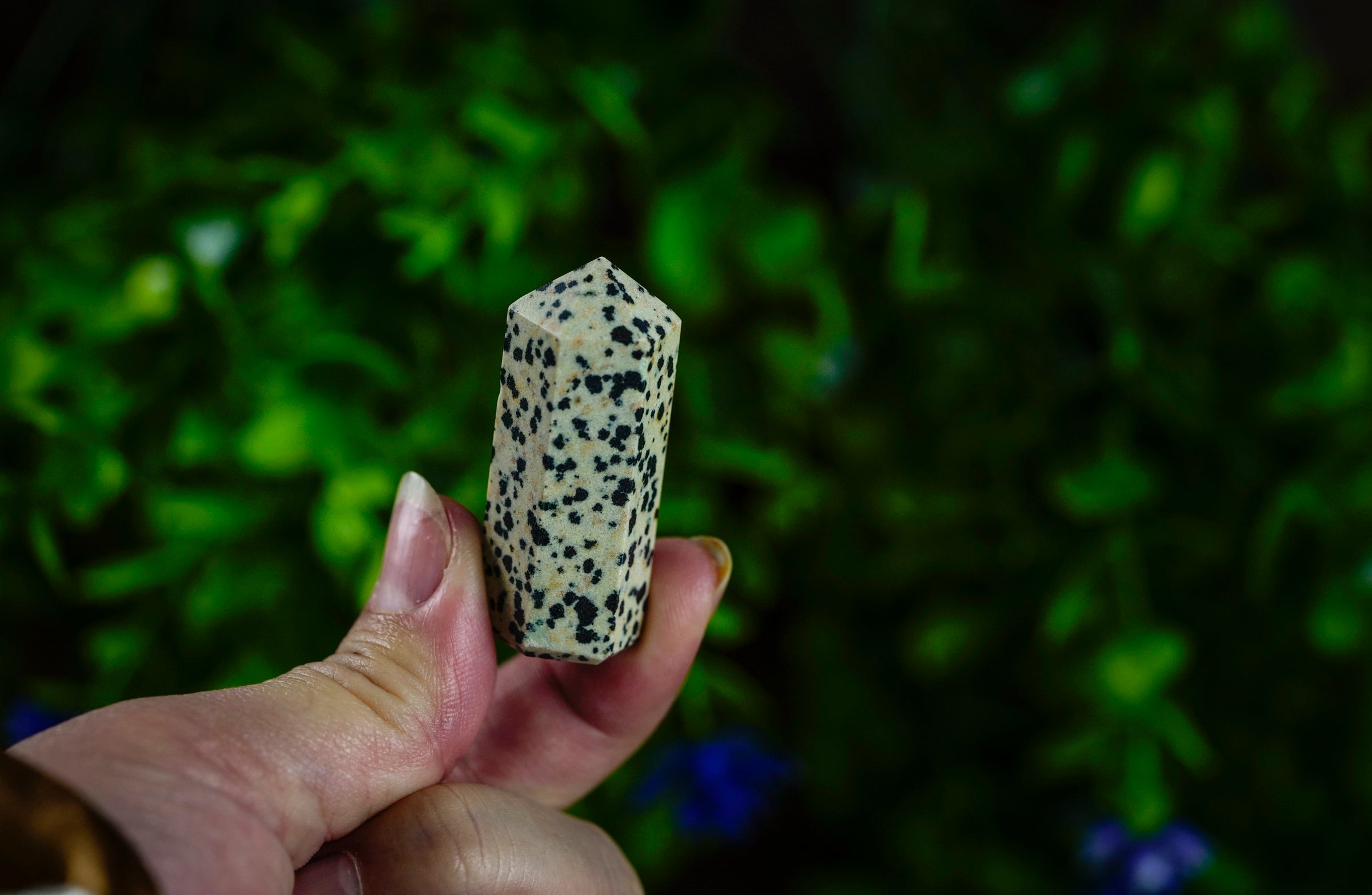 Dalmatian Jasper Crystal Point