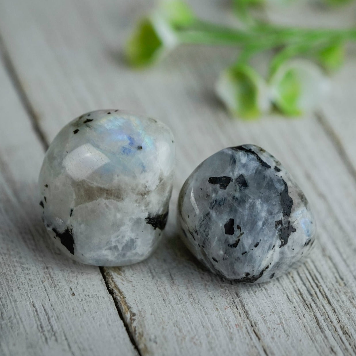 Tumbled Moonstone Polished Stone