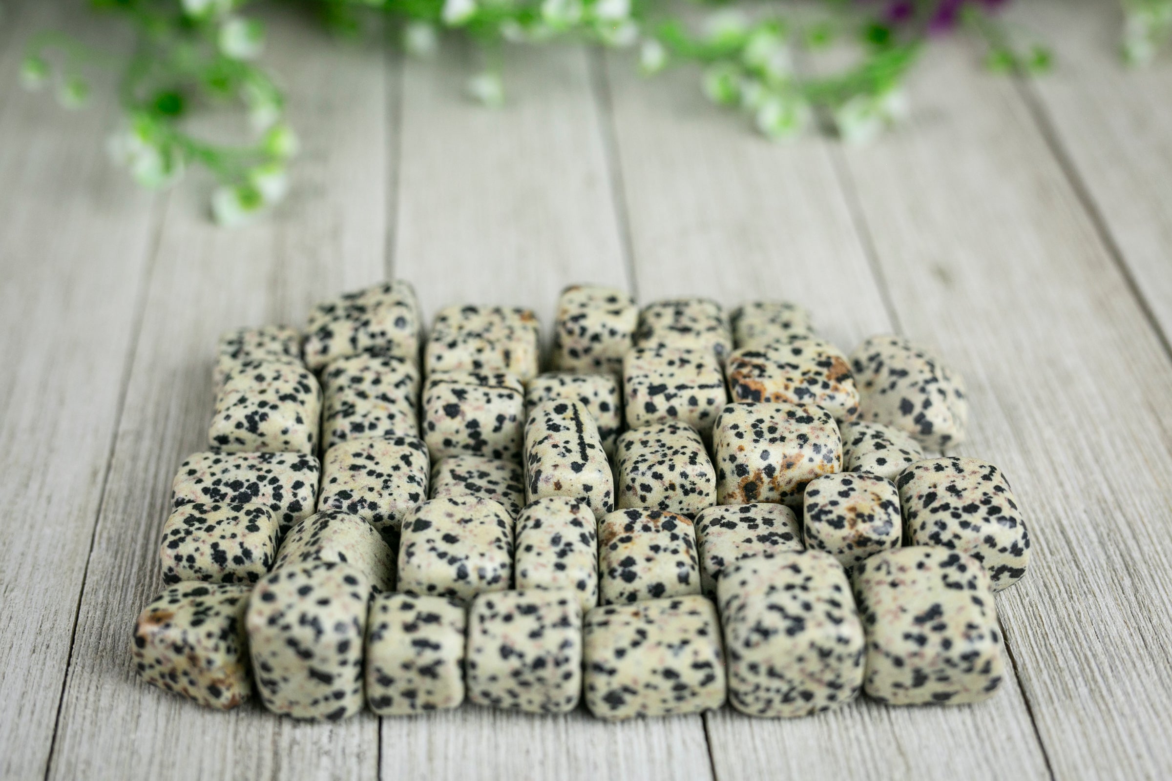 Tumbled Dalmatian Jasper Polished Stone