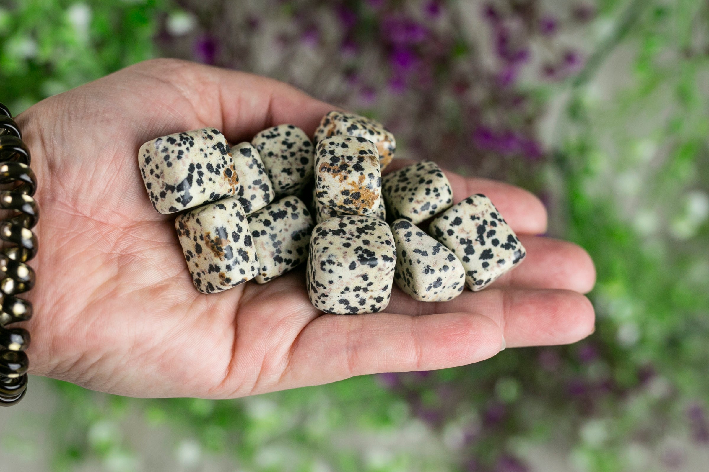 Tumbled Dalmatian Jasper Polished Stone