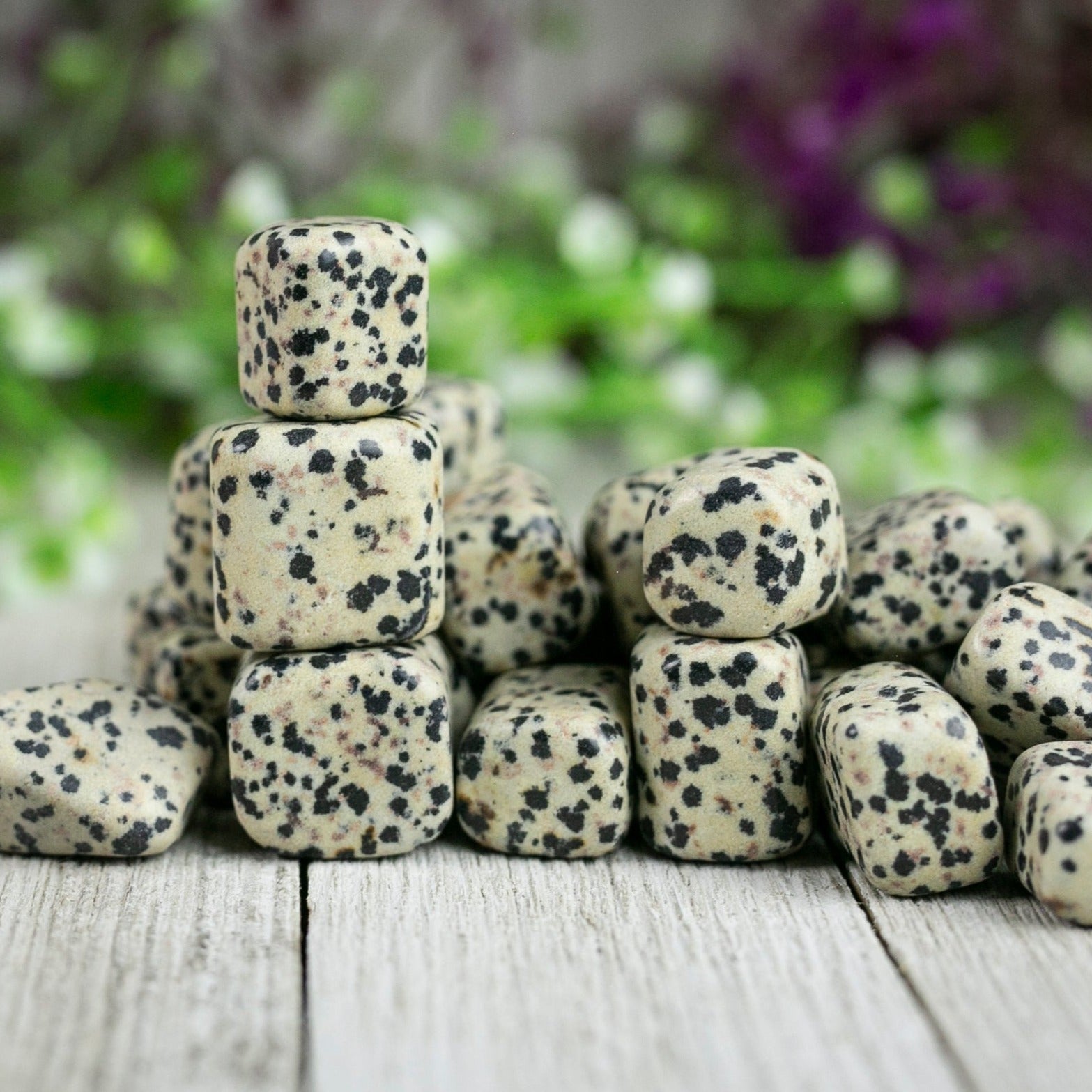 Tumbled Dalmatian Jasper Polished Stone