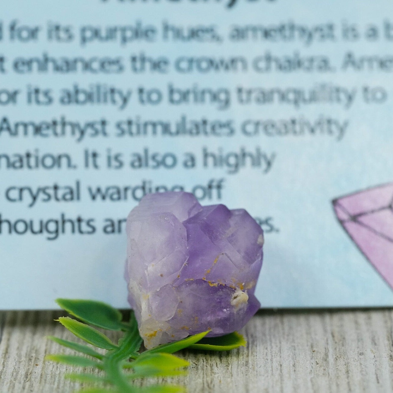 Raw Amethyst Crystal + Info Card