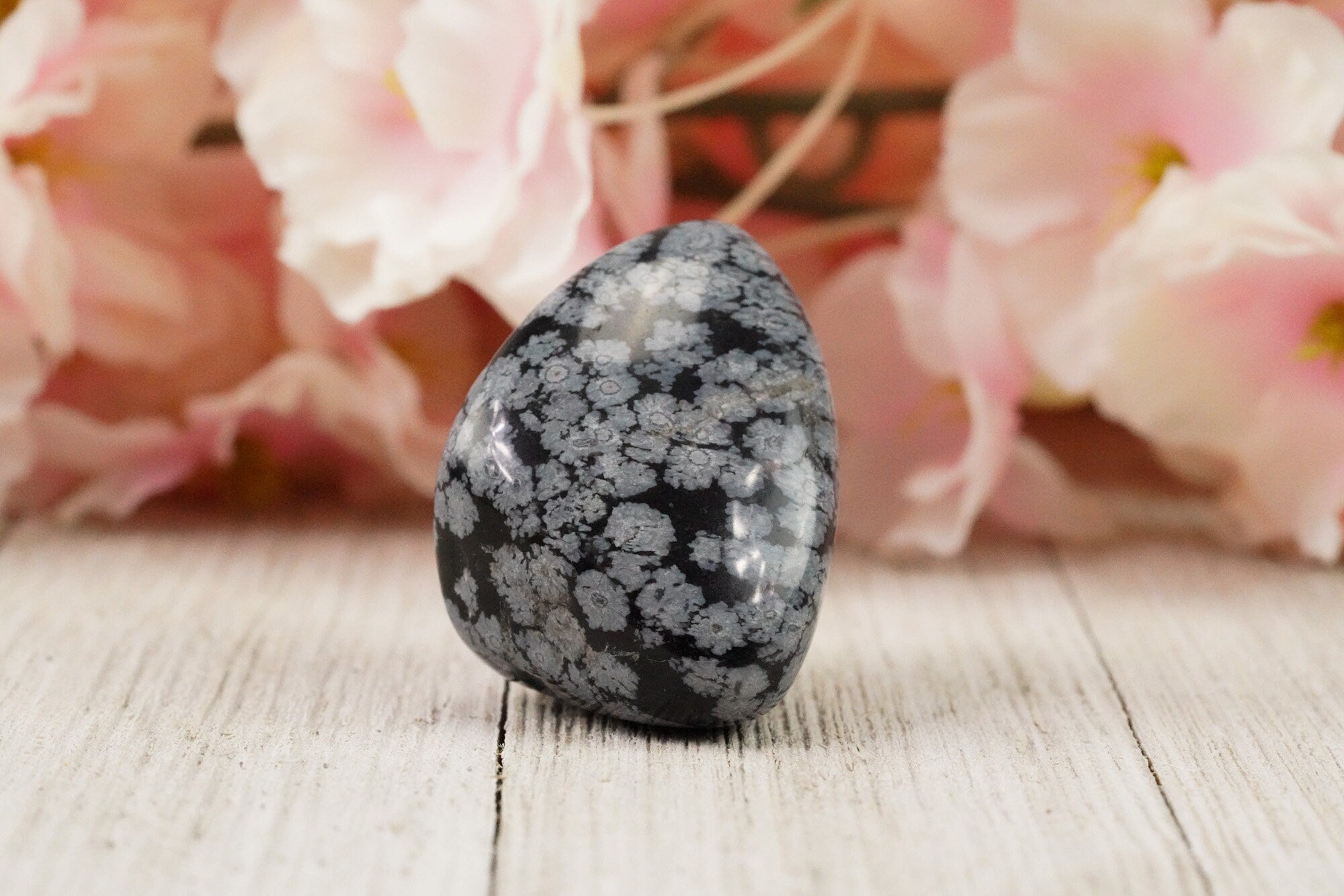 Snowflake Obsidian Pocket Stone