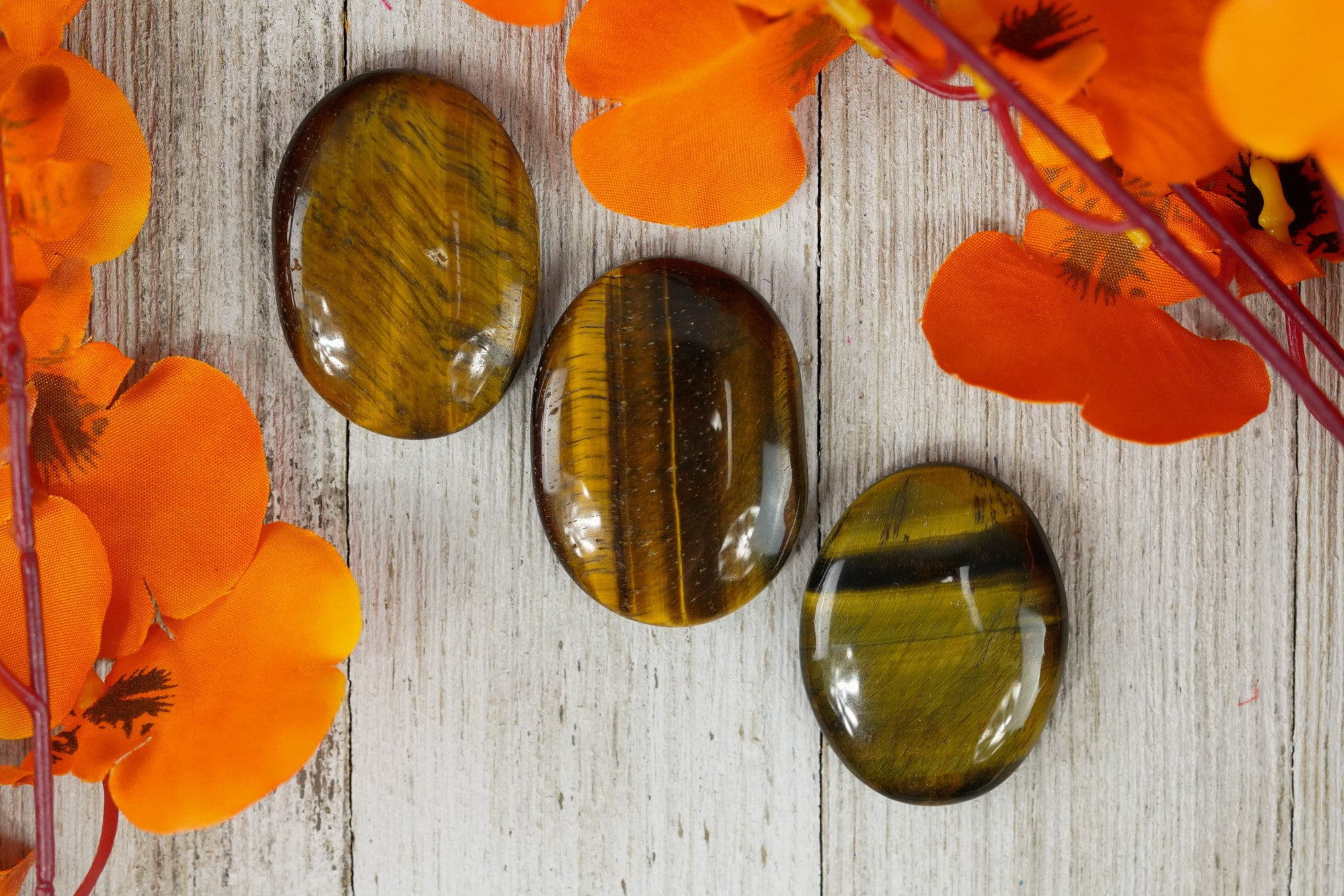 Tigers Eye Palm Stone