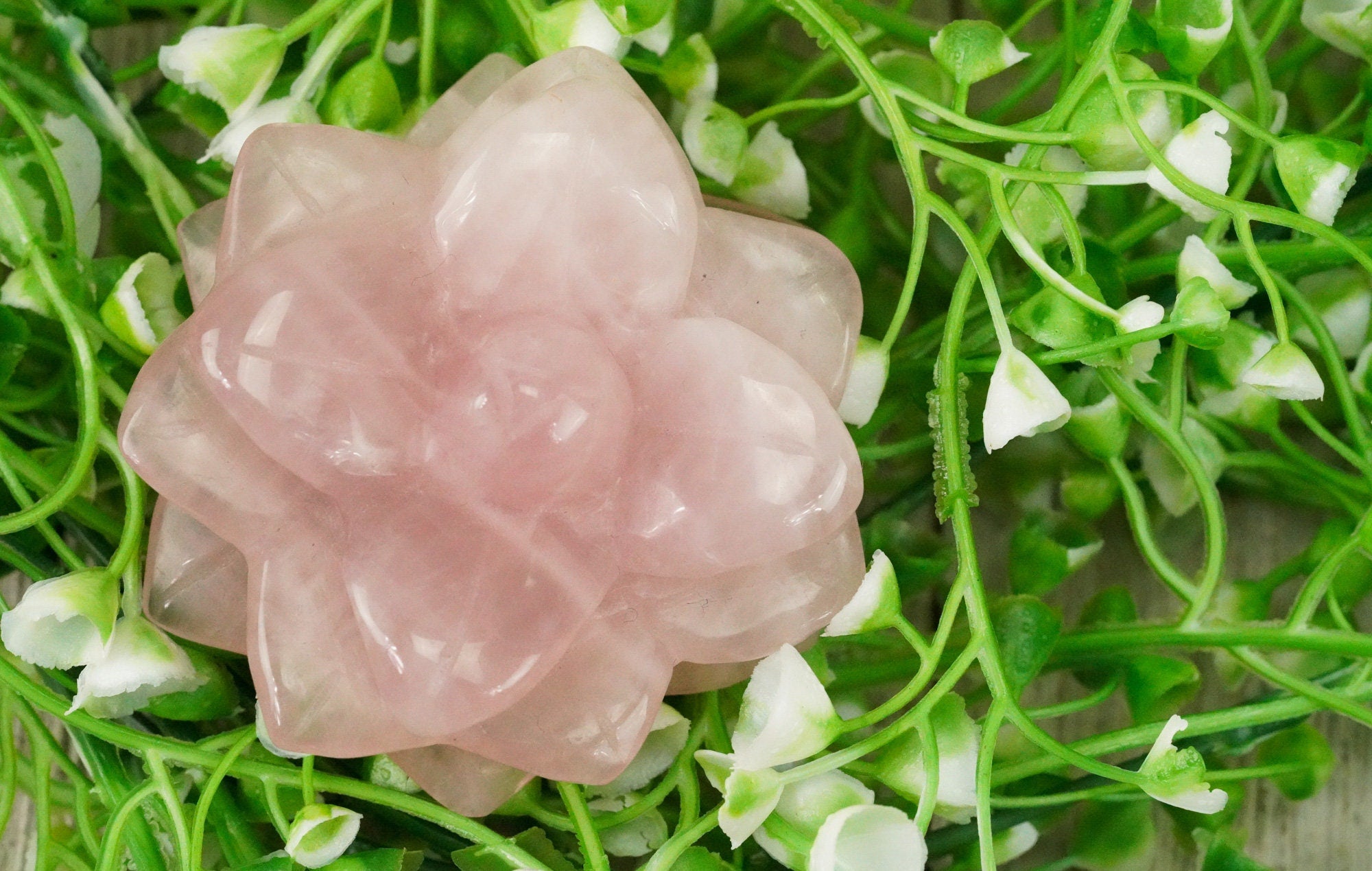 Rose Quartz Large Carved Lotus