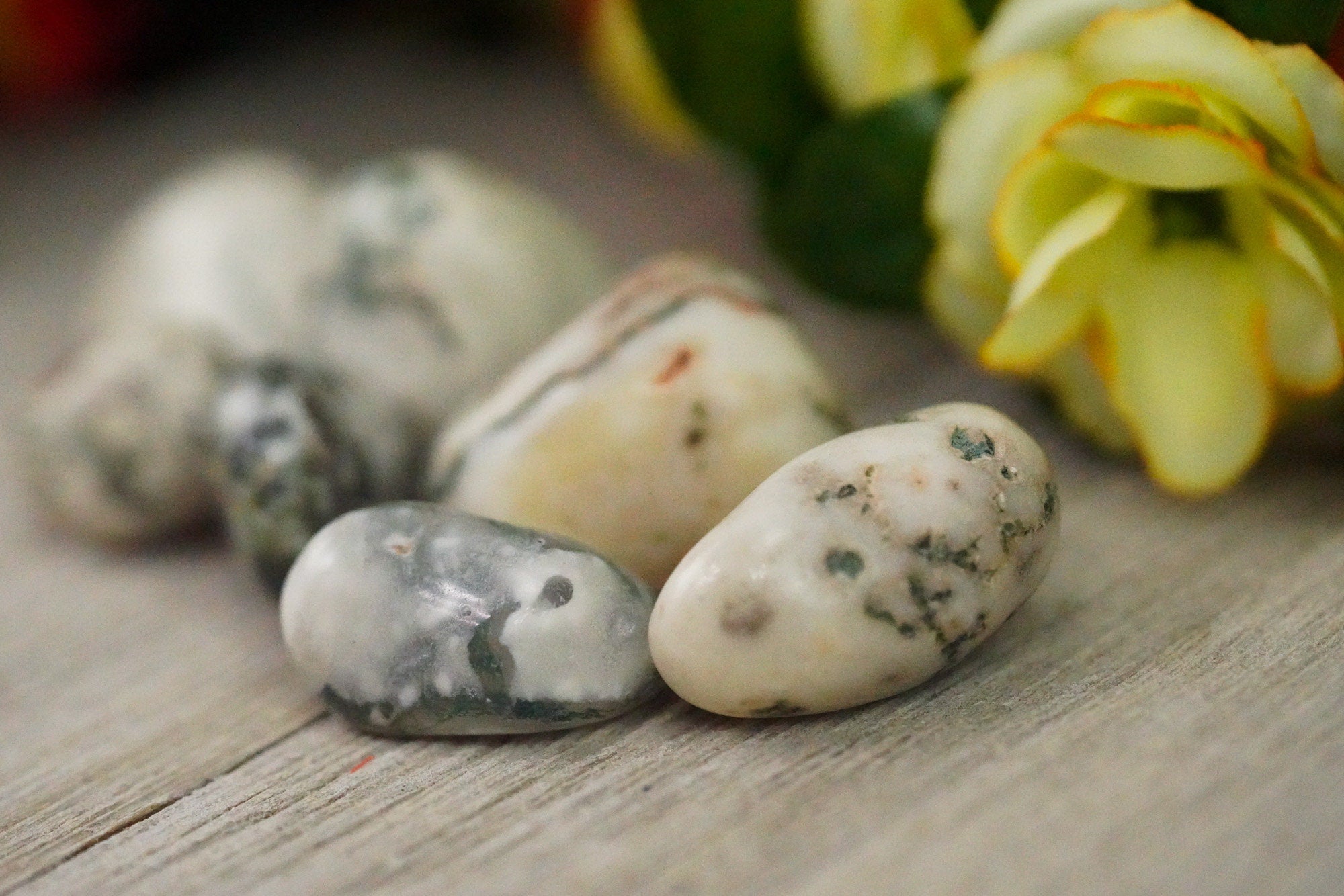 Tumbled White Moss Agate Polished Stone