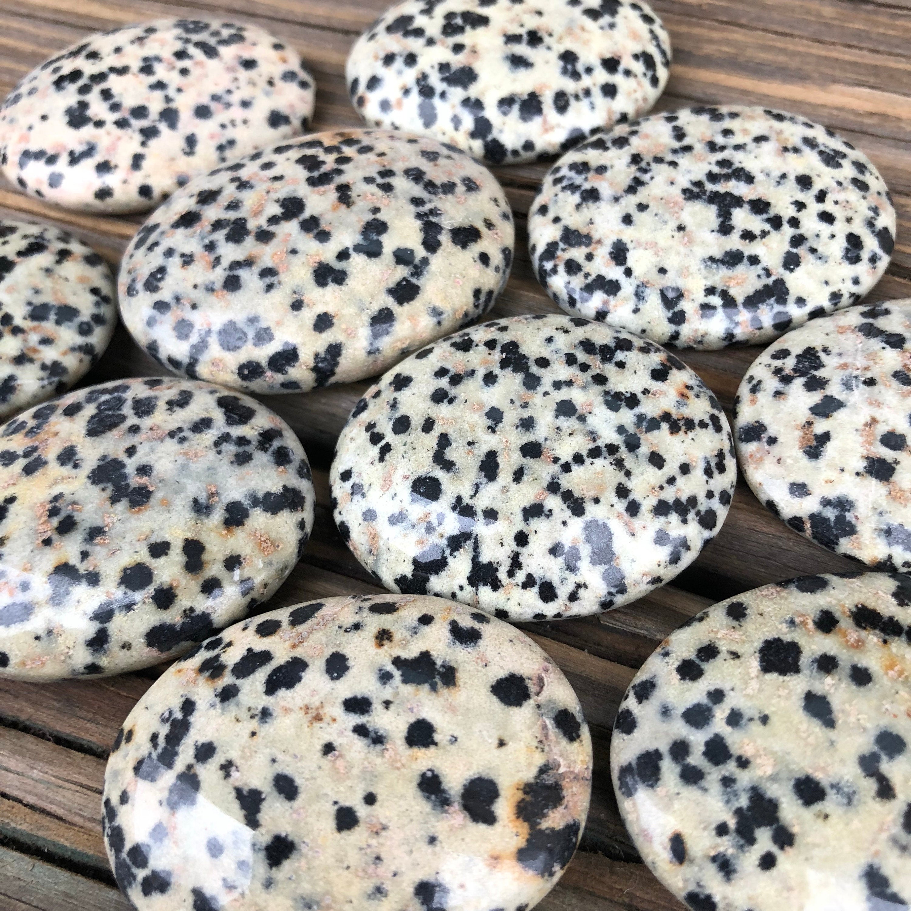 Dalmatian Jasper Worry Stone