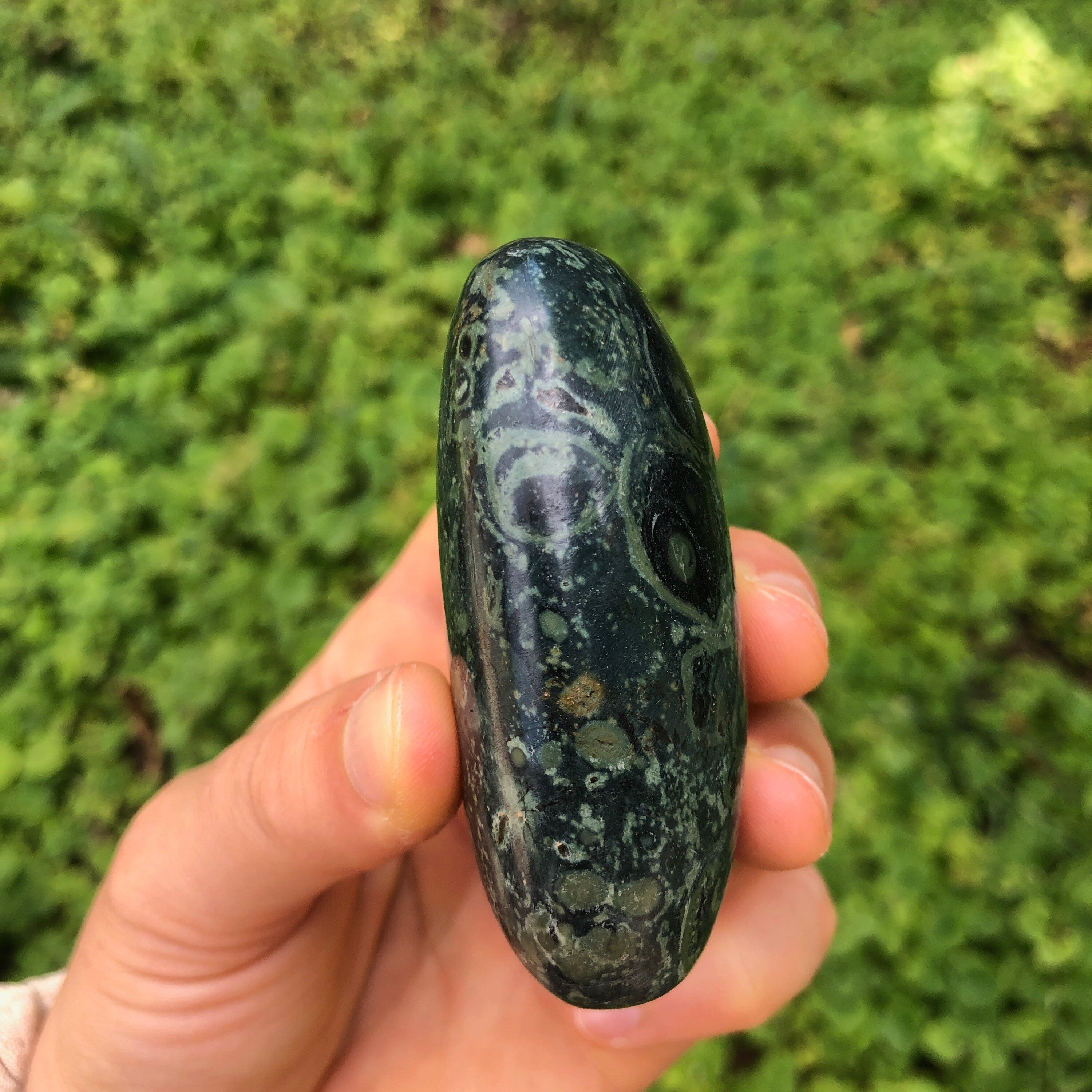 Kambaba Jasper Palm Stone