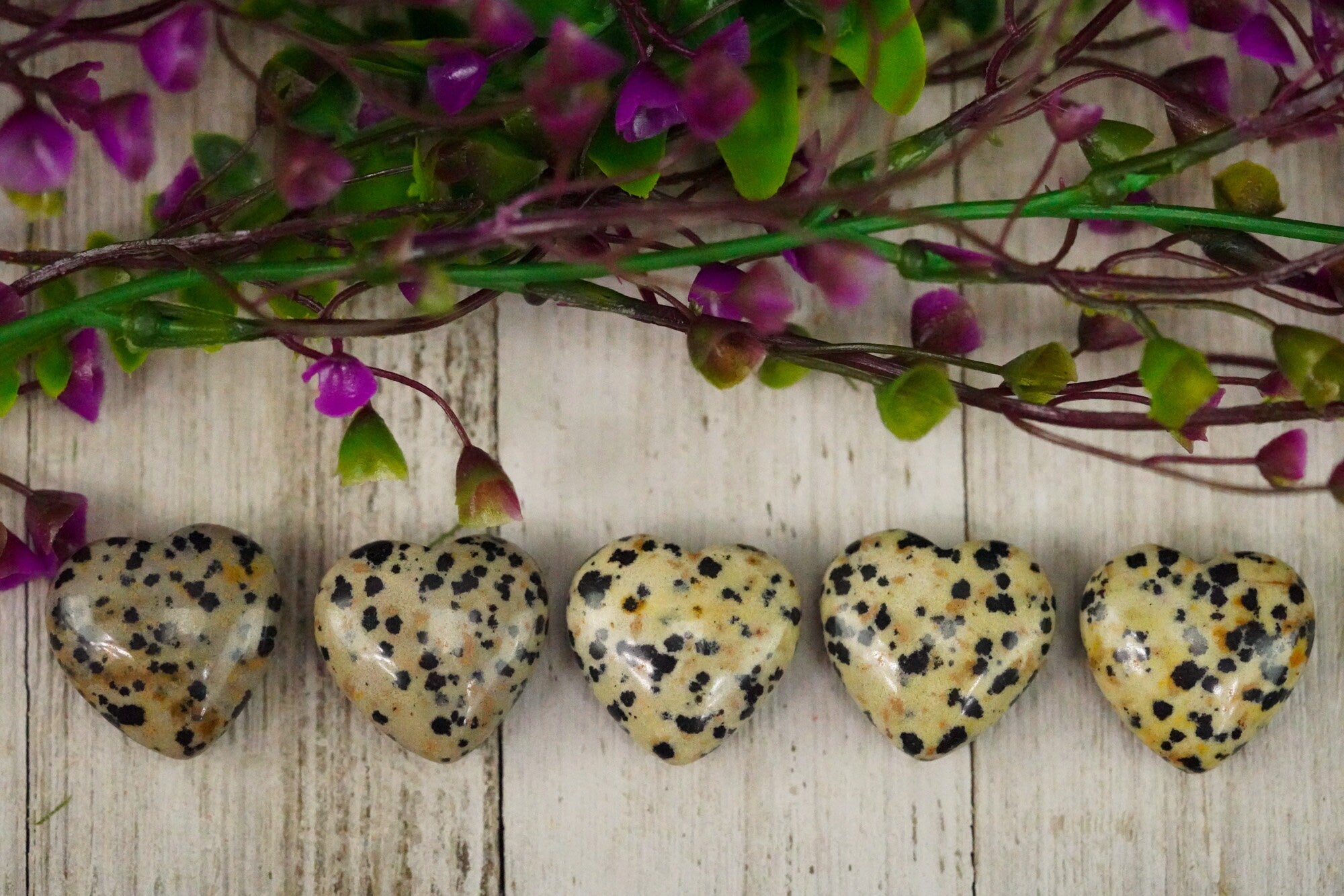 Dalmatian Jasper Crystal Heart