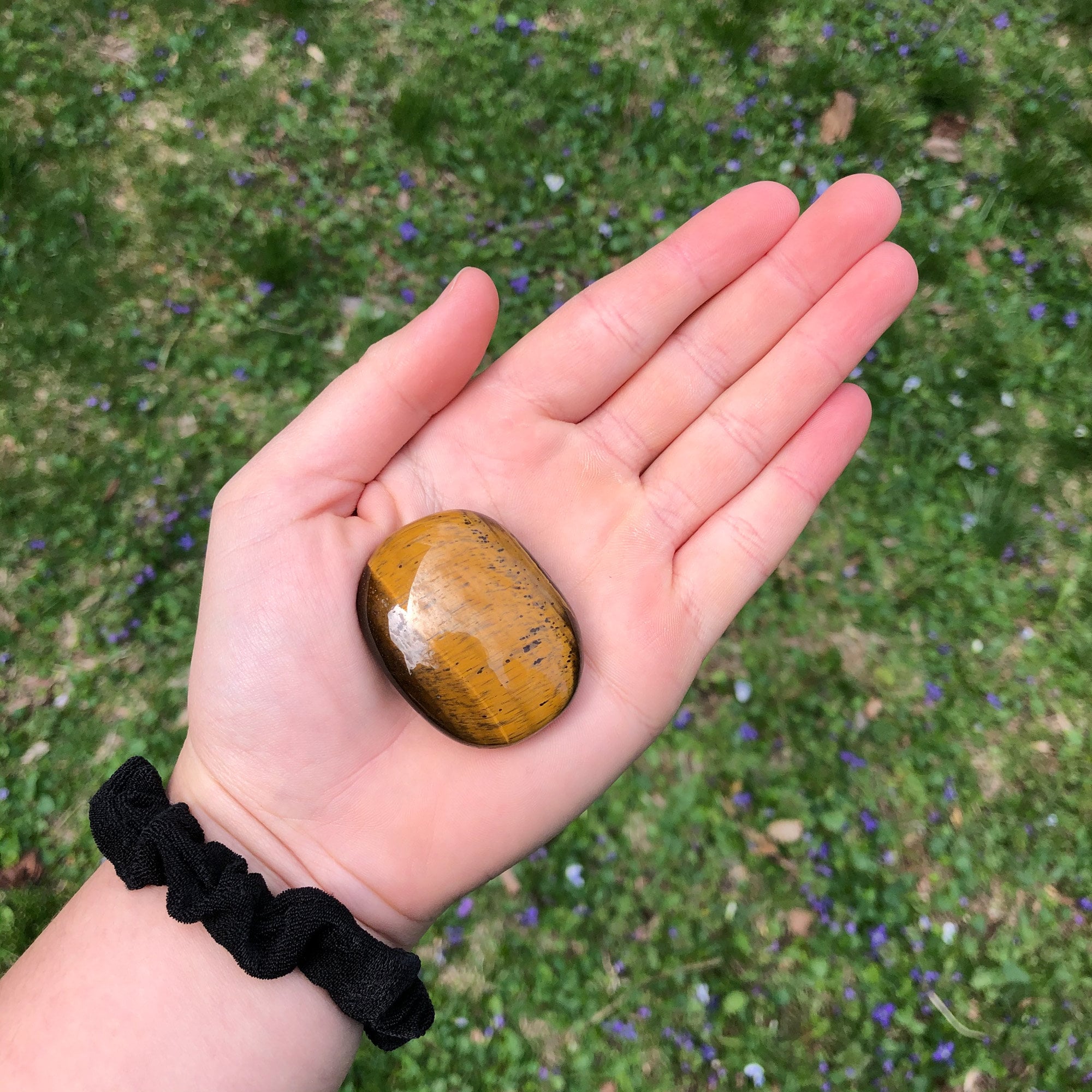 Tigers Eye Pocket Stone