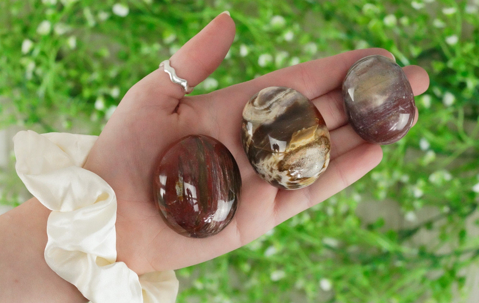 Petrified Wood Palm Stone