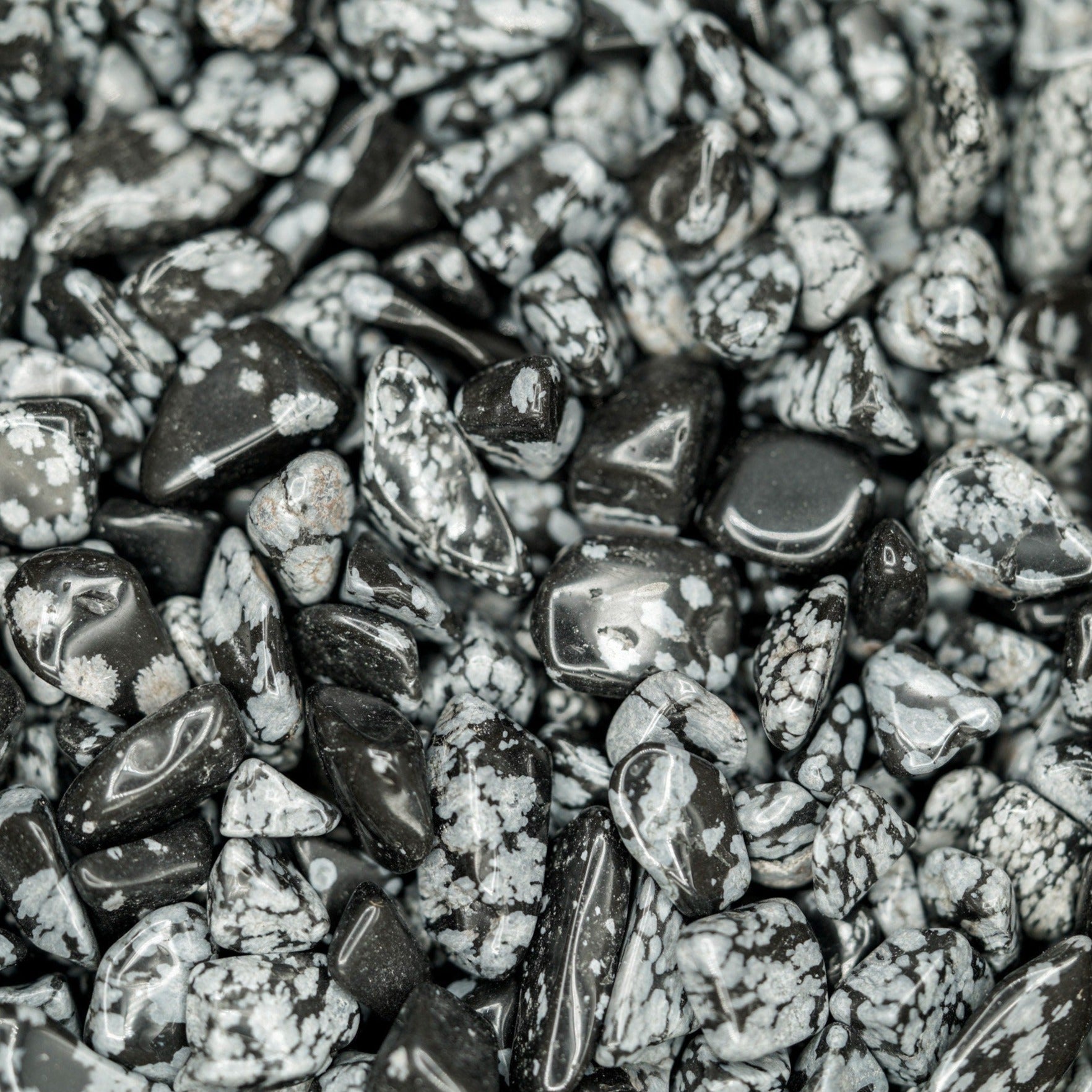 Snowflake Obsidian Tumbled Crystal Chips