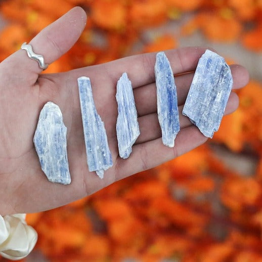 Blue Kyanite Raw Crystal Blades