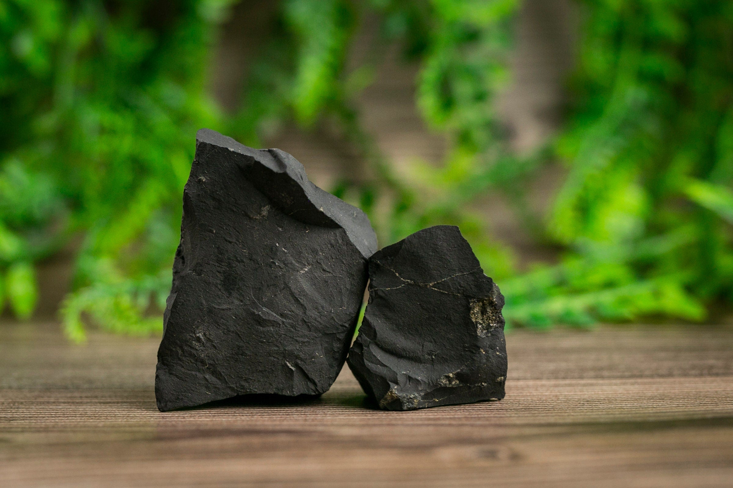 Raw Shungite Crystal