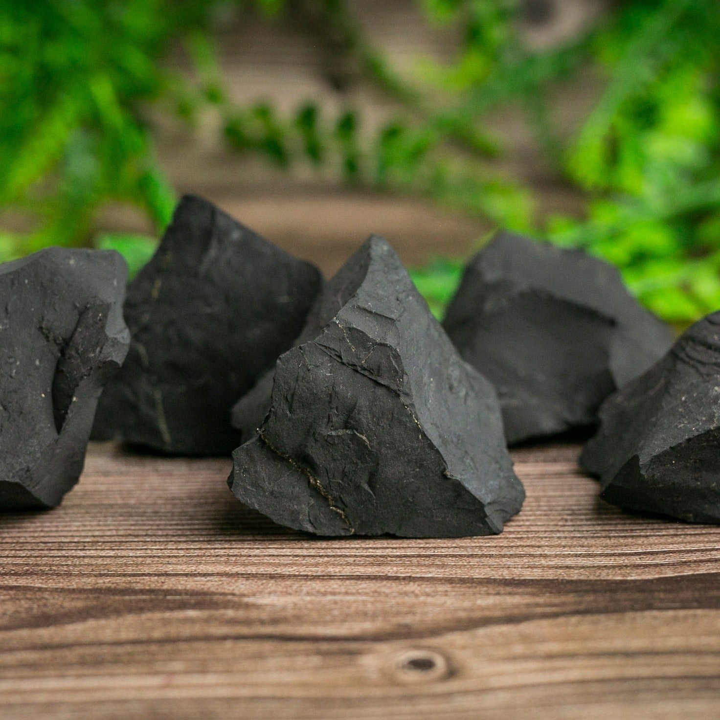 Raw Shungite Crystal