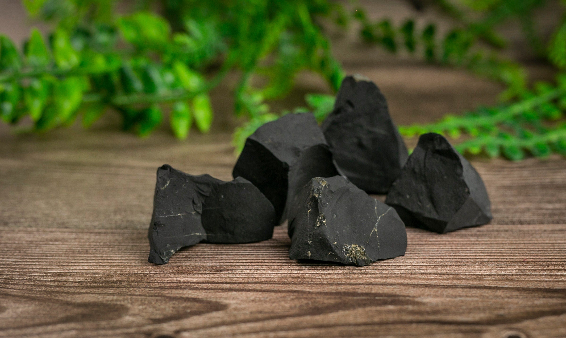 Raw Shungite Crystal