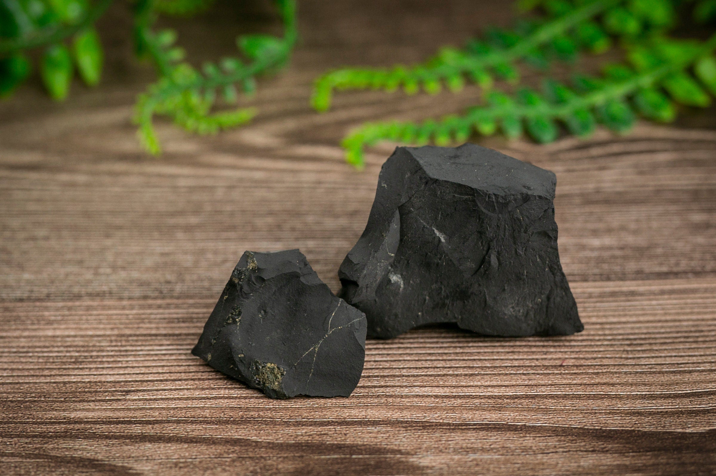 Raw Shungite Crystal